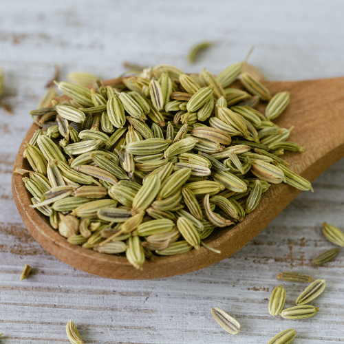 Fennel seeds (1)