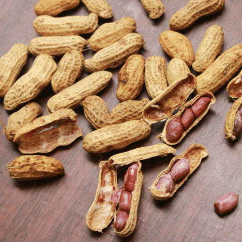 Groundnut